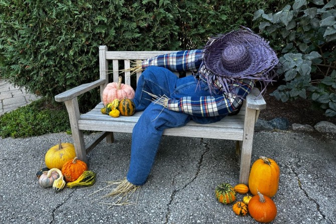 scarecrow naps
