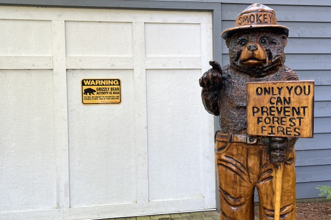 IMG 1472