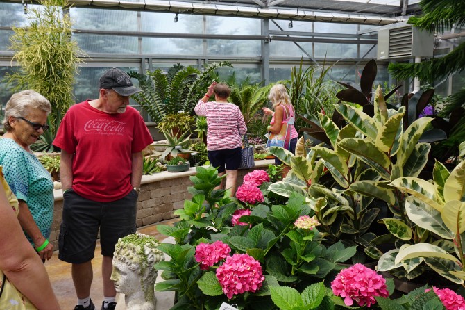 greenhouse visitors