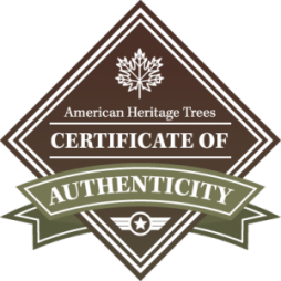 Certificate of Authenticity Emblem O 300x300